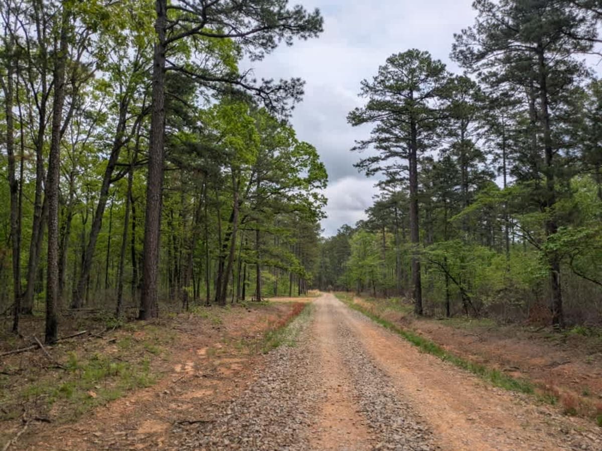 Valentine Ridge photo 3