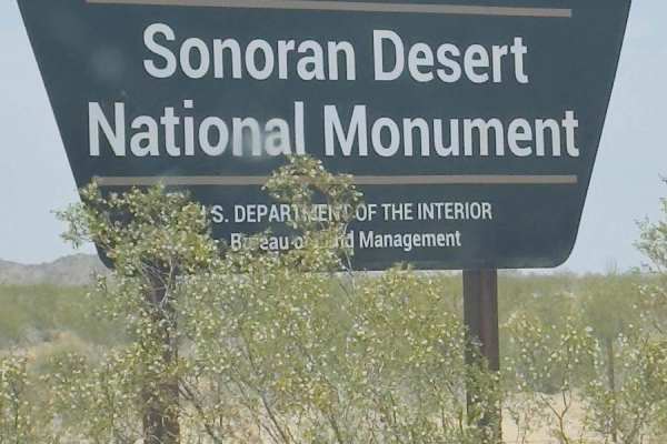 Sonoran Desert National Monument Trail