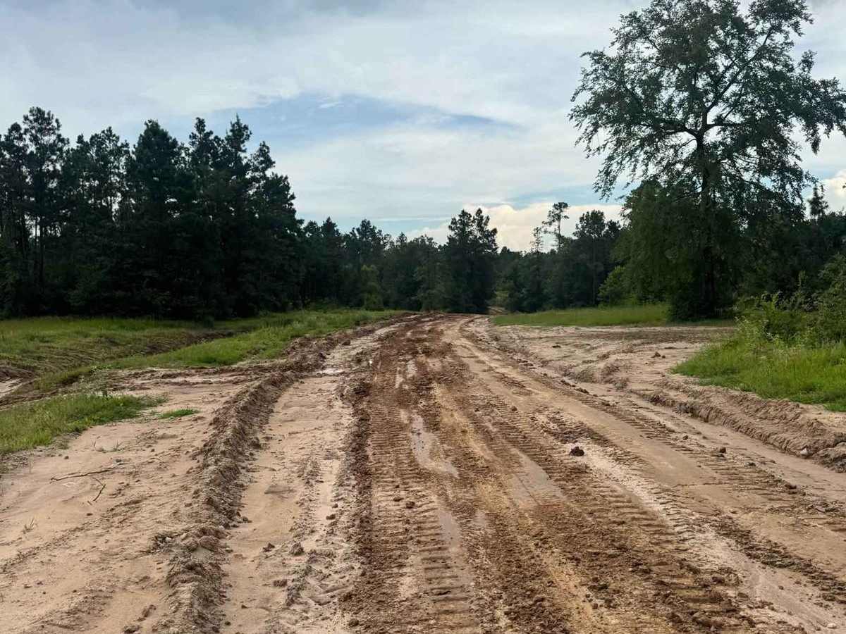 Generals Way - Main Camp Road 100 photo 6