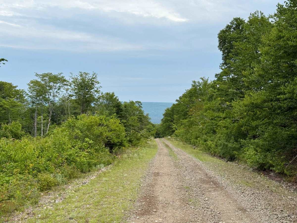 Gillanders Mountain Road East photo 3