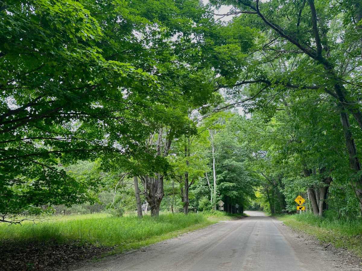 South Thoreson Road photo 2