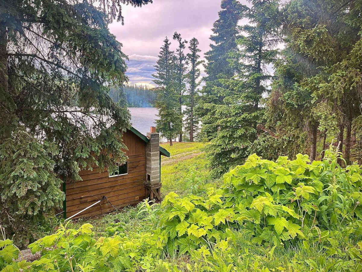 Jamieson Creek Road to Spruce Wilderness Resort photo 4
