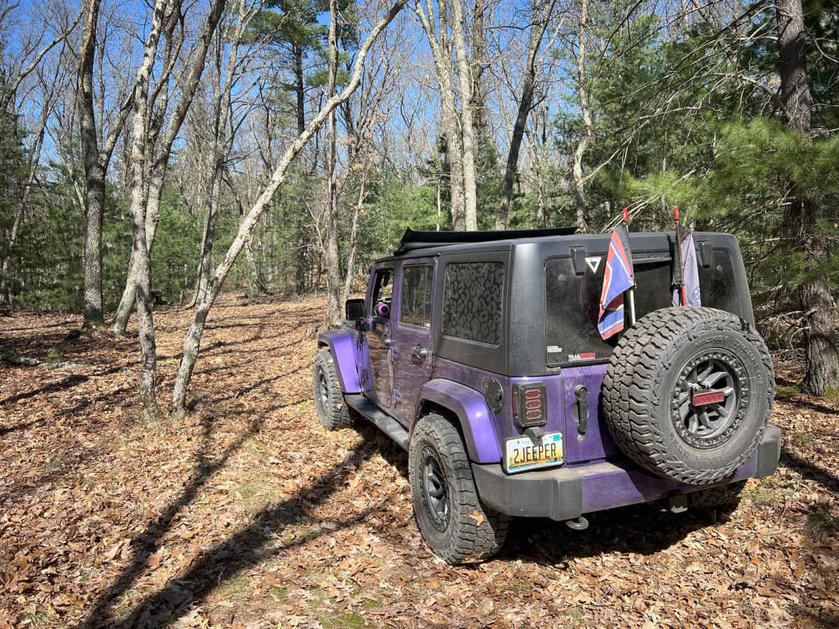 NFS 9850 photo 2