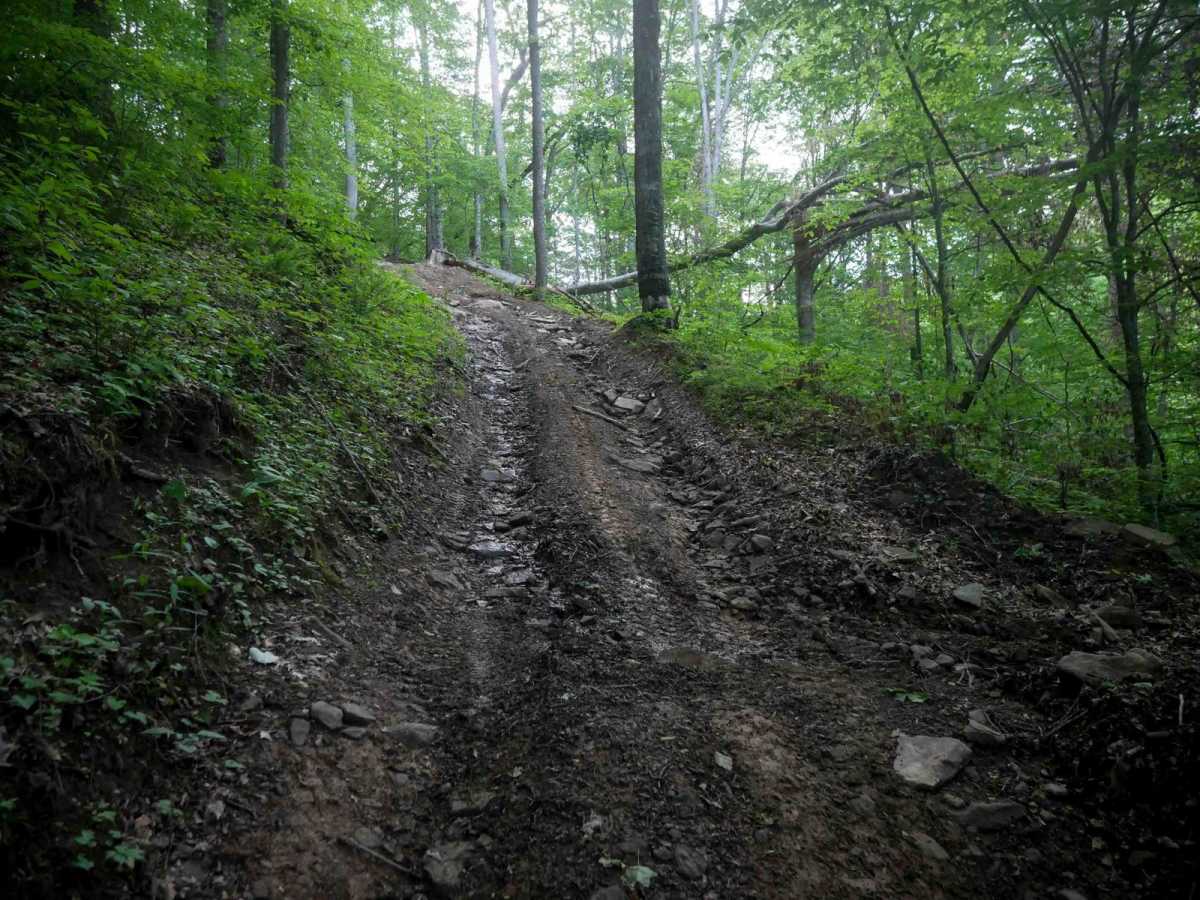 MV29 trail photo
