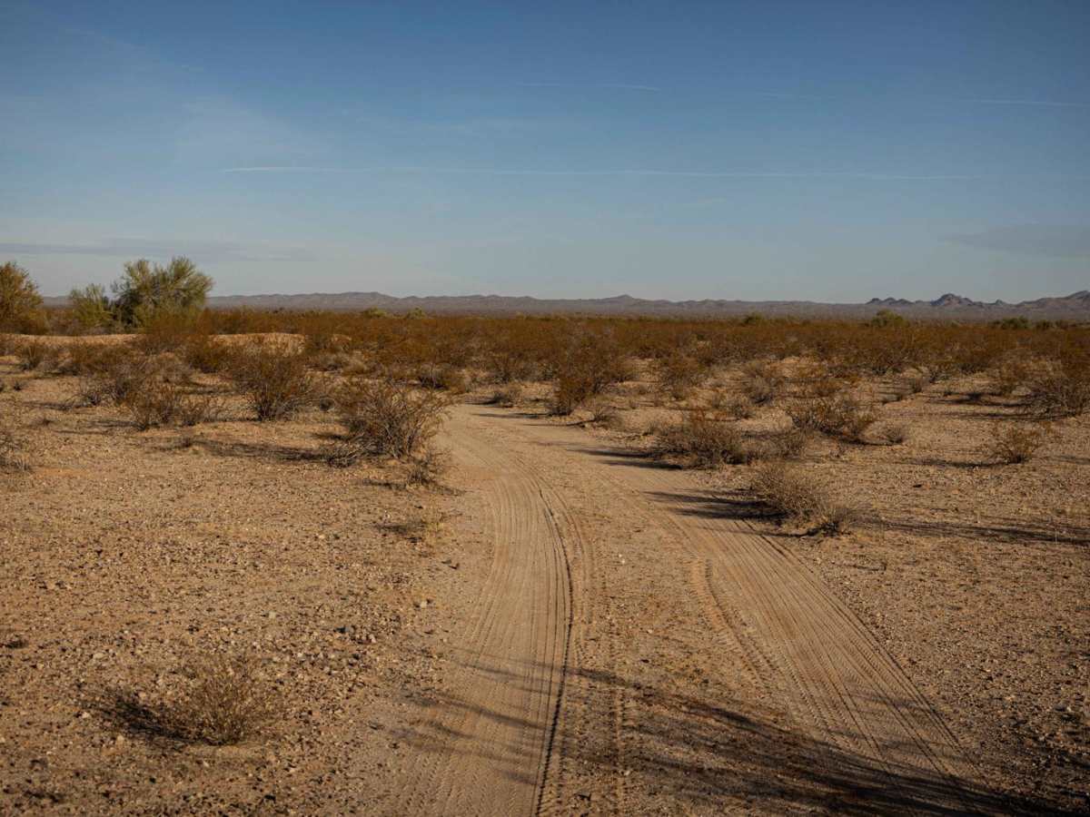 40065 Trail photo 4