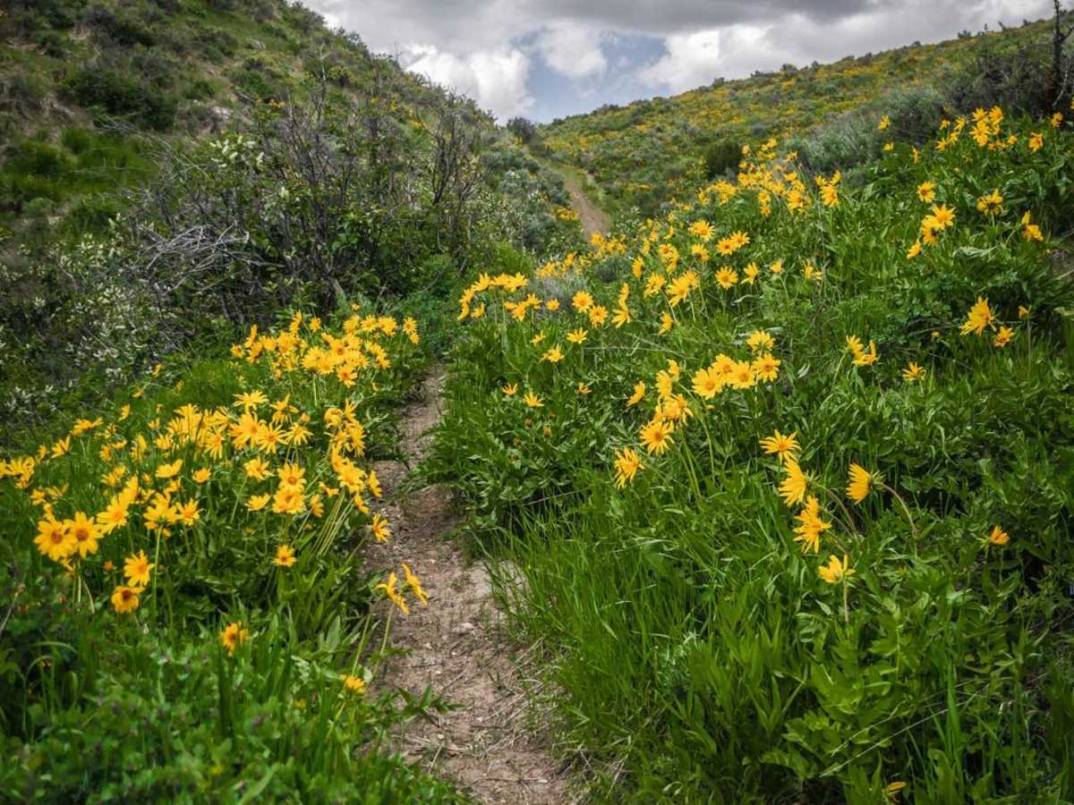 Deep Creek to Ruben Hollow 7440 photo 6