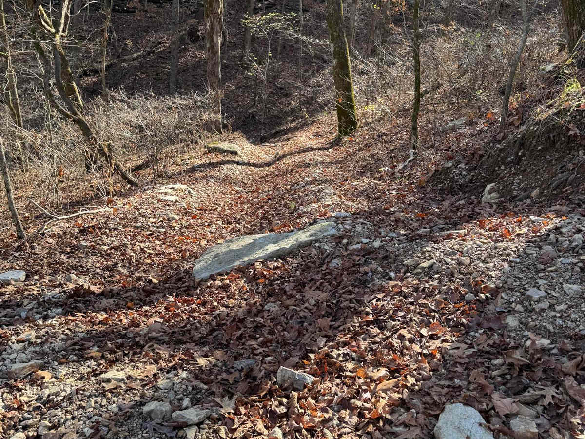 Yellow 167 trail photo