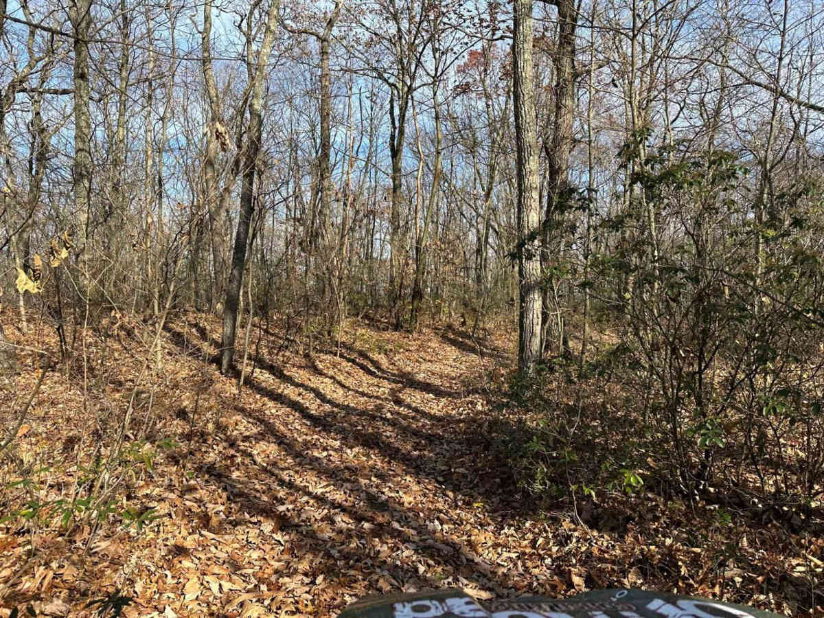 Ashland 170 photo 2