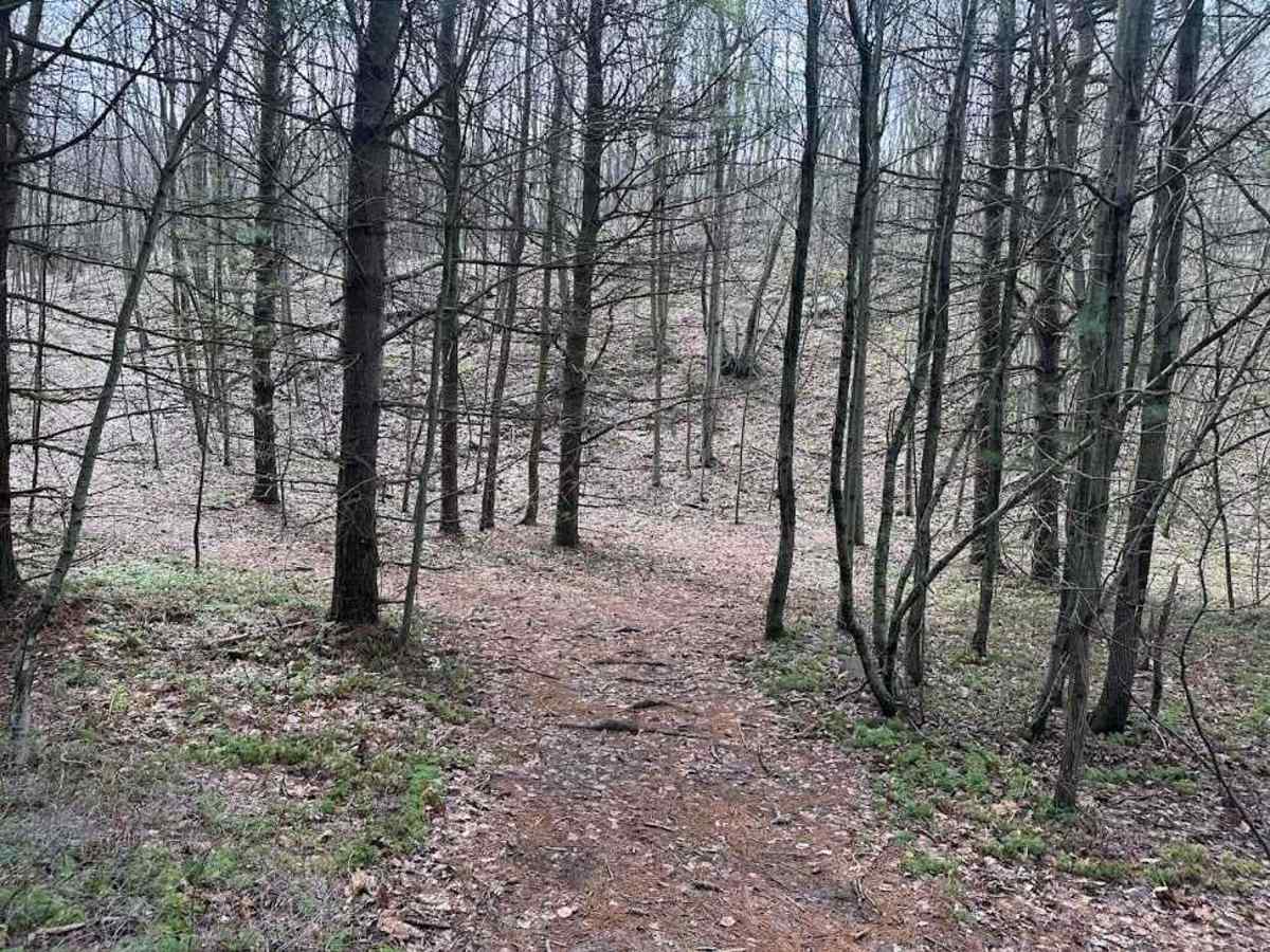 Ashland 113 trail photo