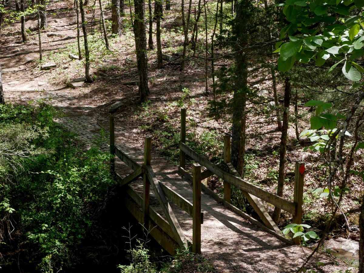 Brock 40 trail photo