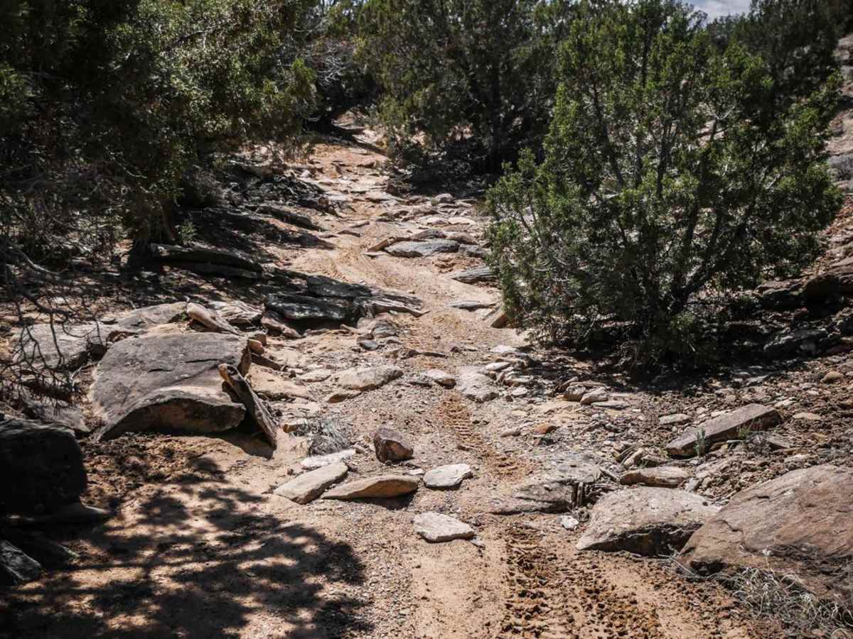 BLM Route 85 photo 3