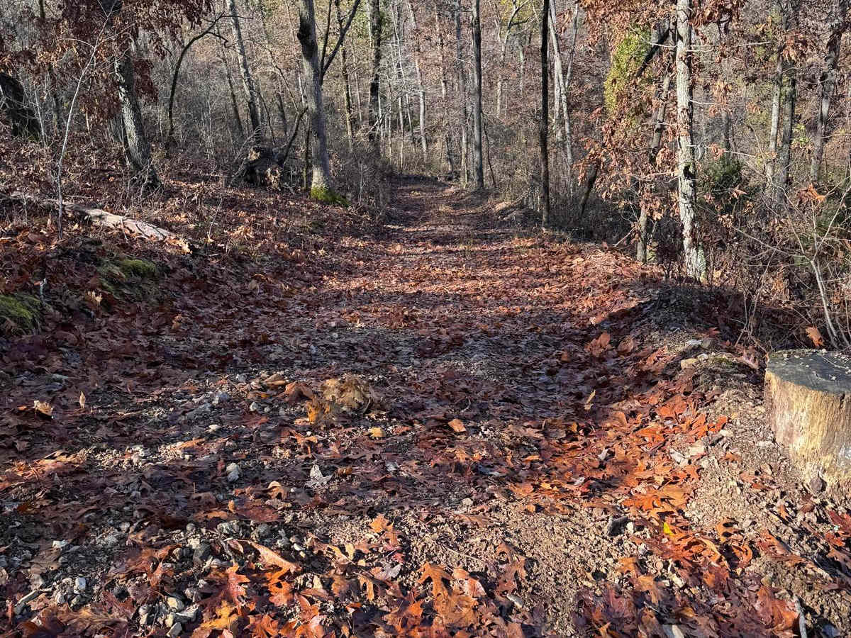 Green 129 trail photo