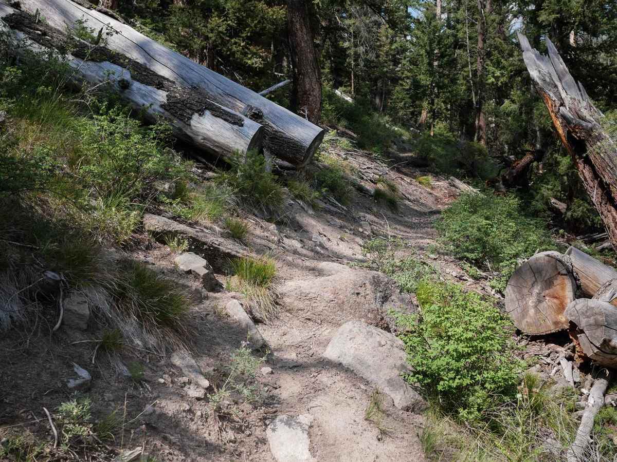 Five Mile Creek (South) photo 6