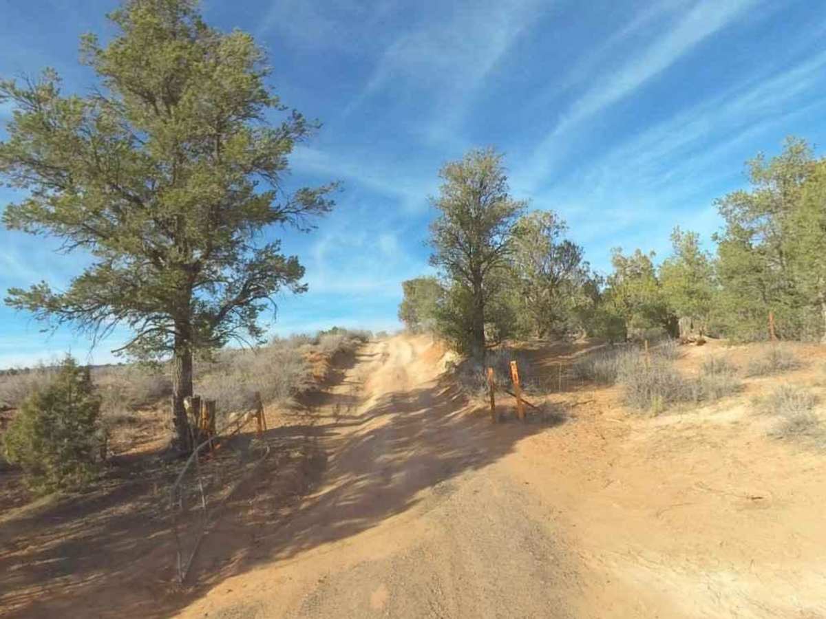 Twin Hollow BLM 98 photo 3