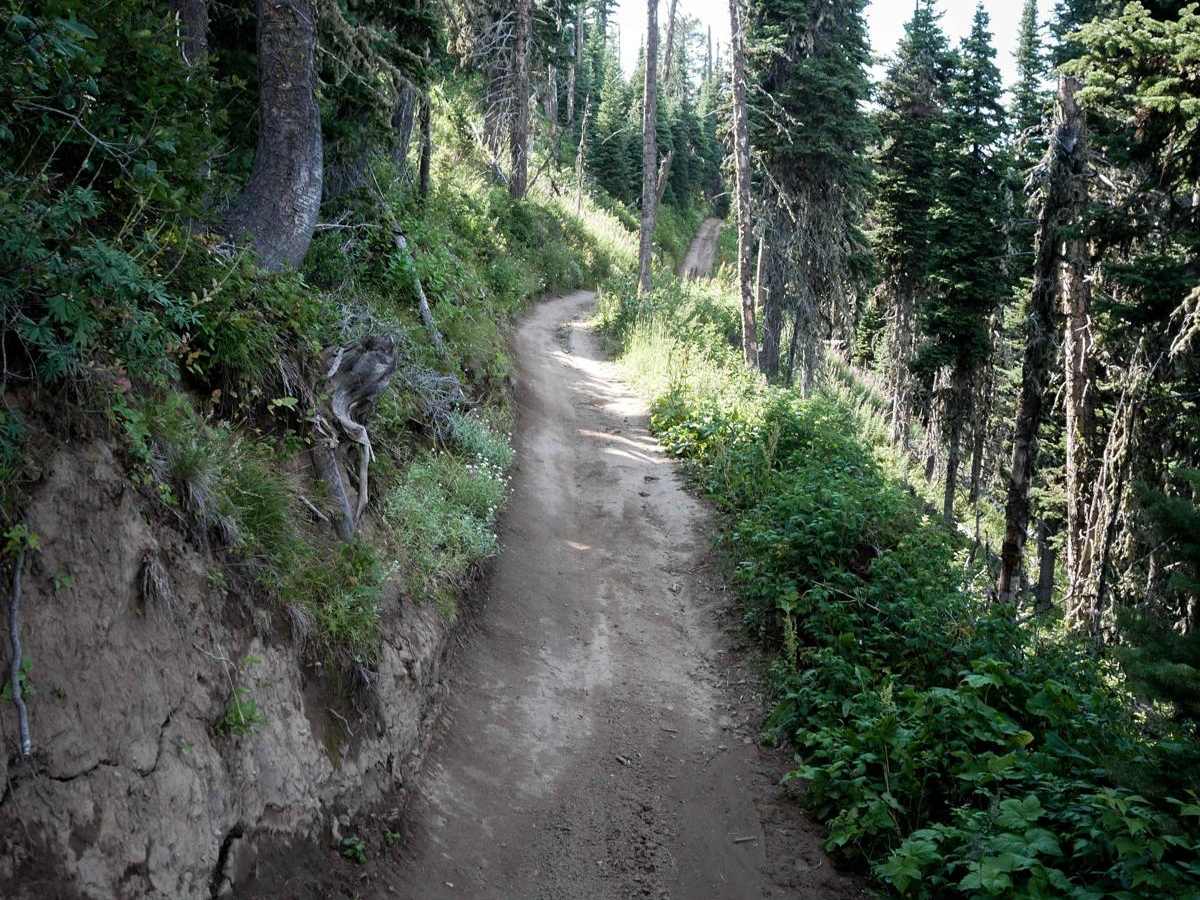 Bishop Park ATV photo 2