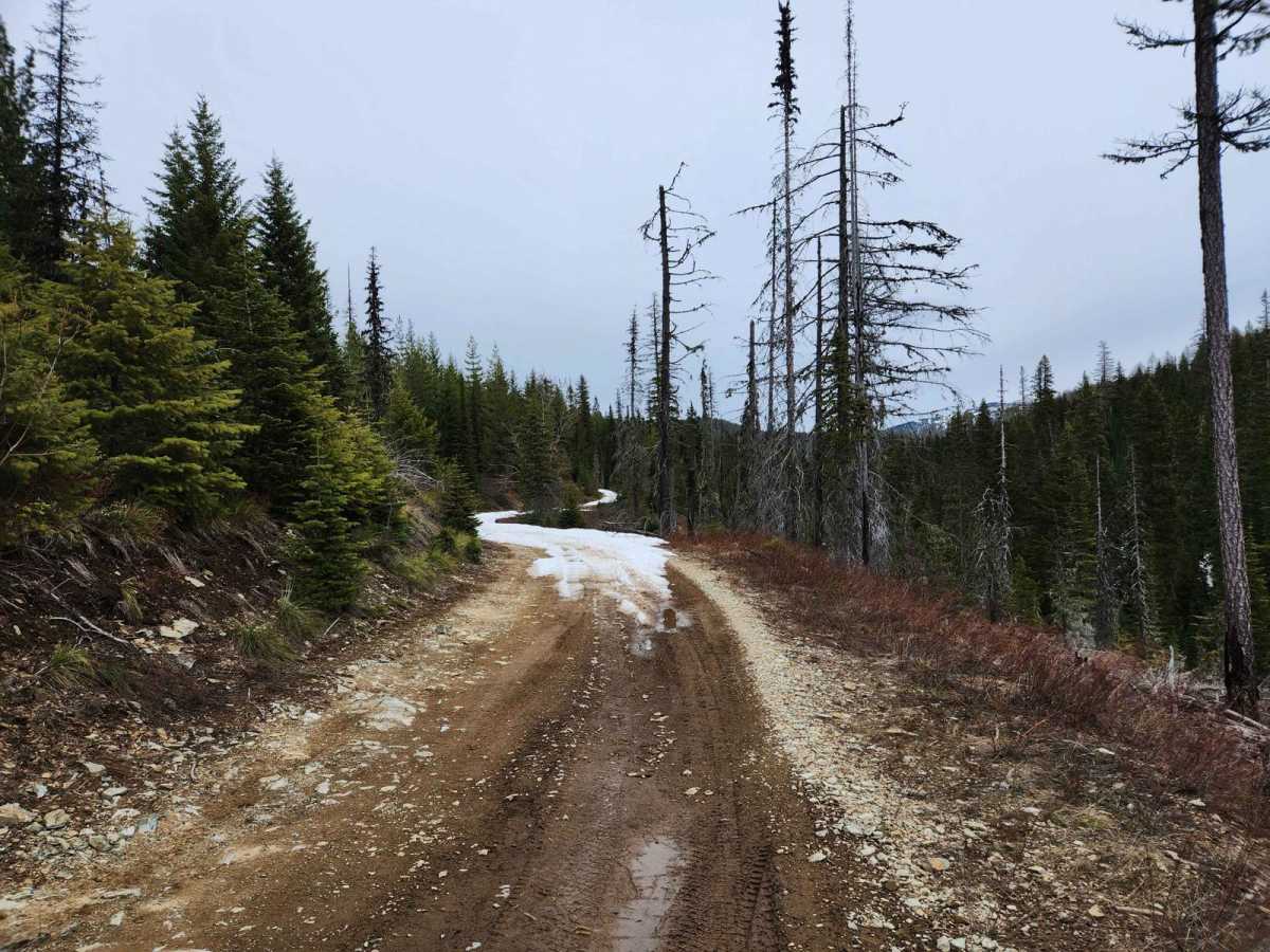 Bloom Peak Trail photo 2