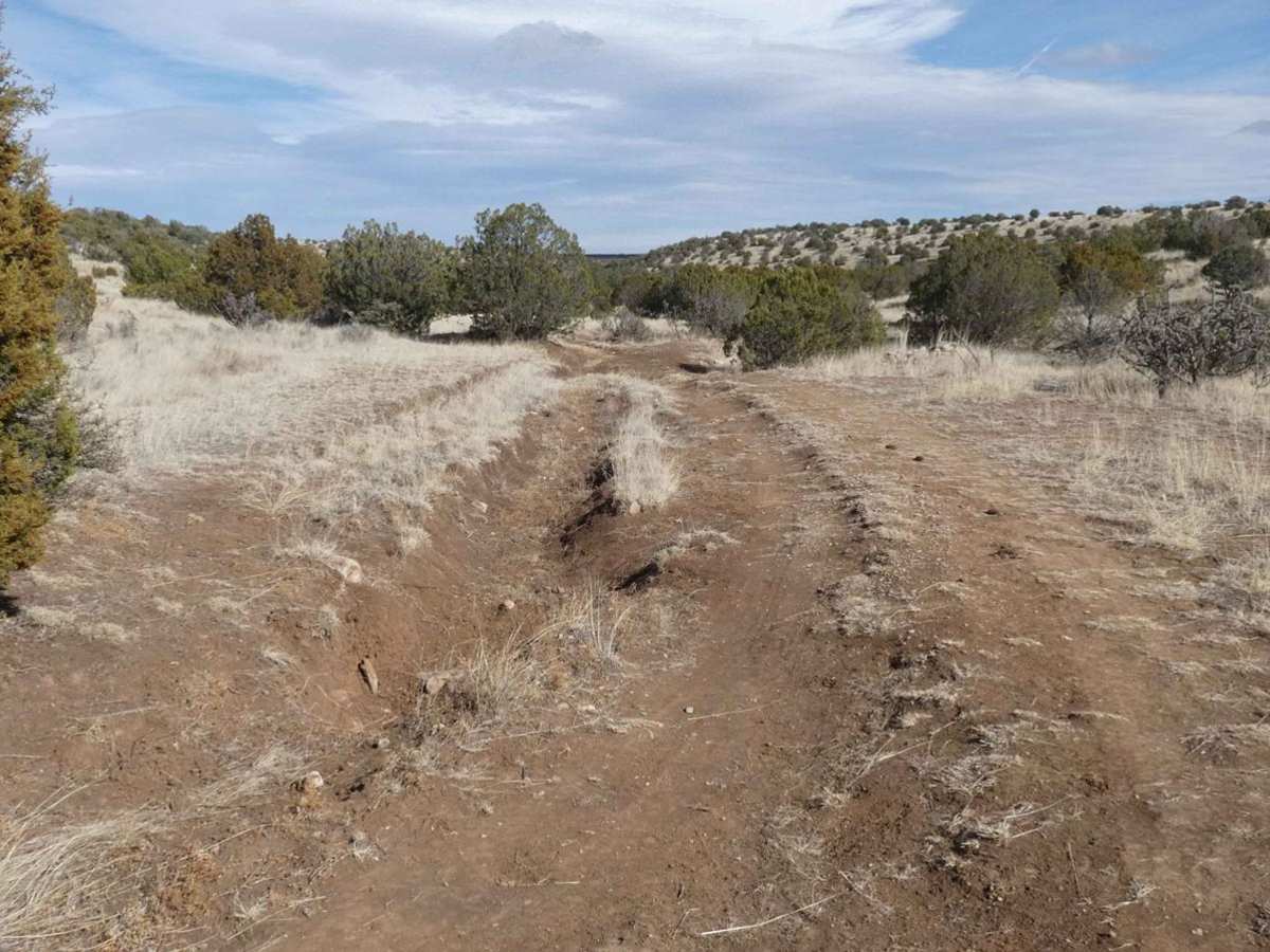 Calf Crossing trail photo