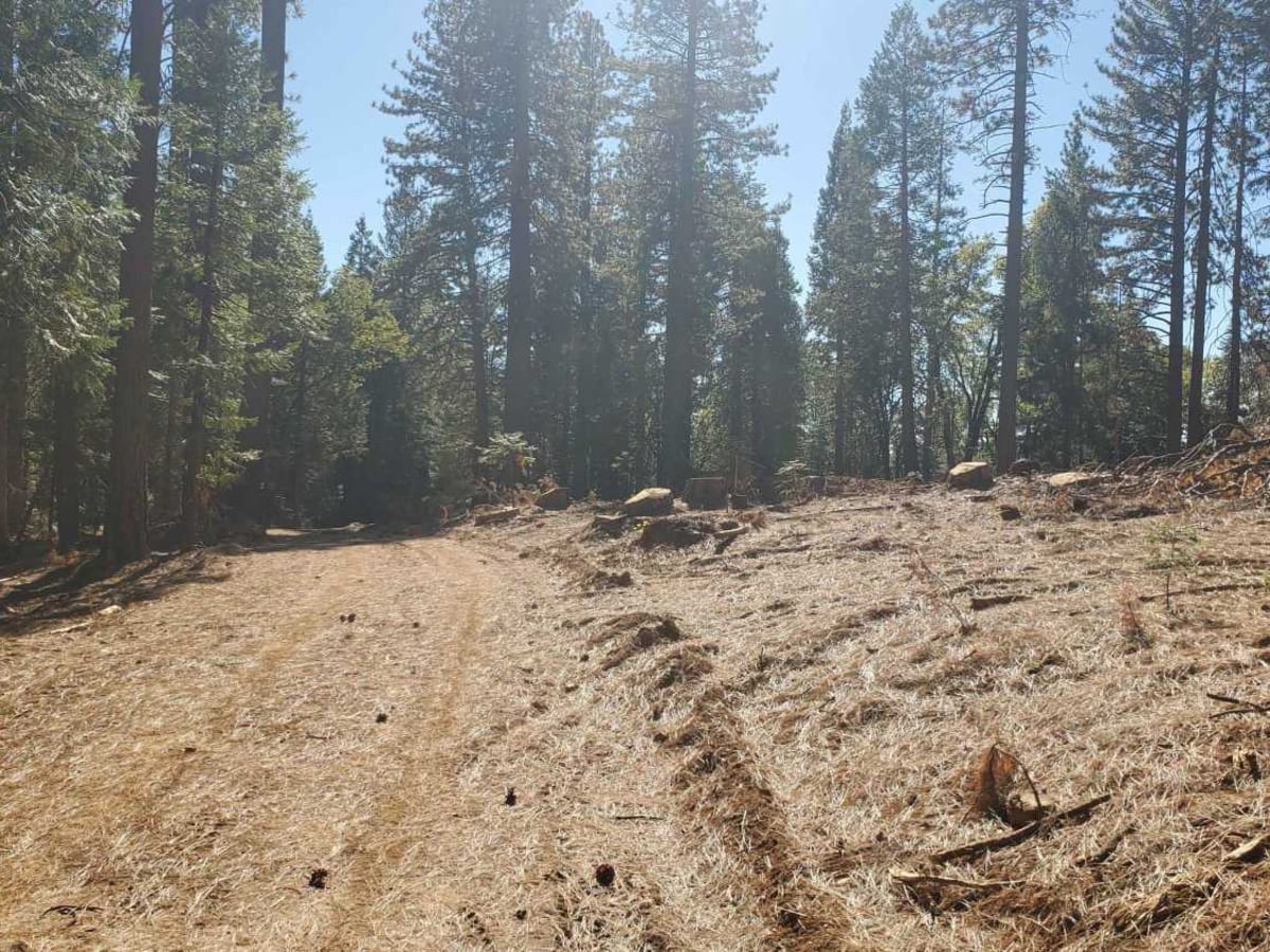 Fulda Ridge -FS19-028 photo 6