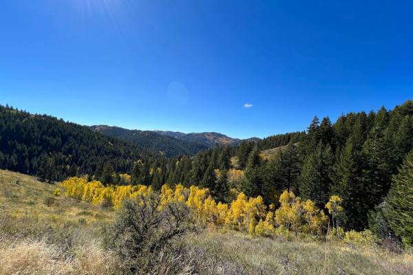 Green Canyon