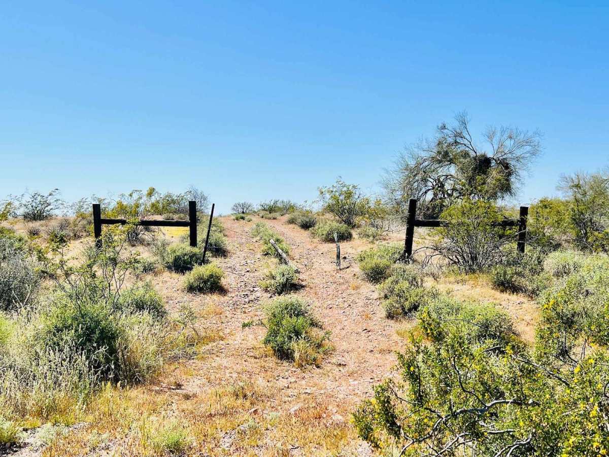BLM 9090a Dead End photo 4