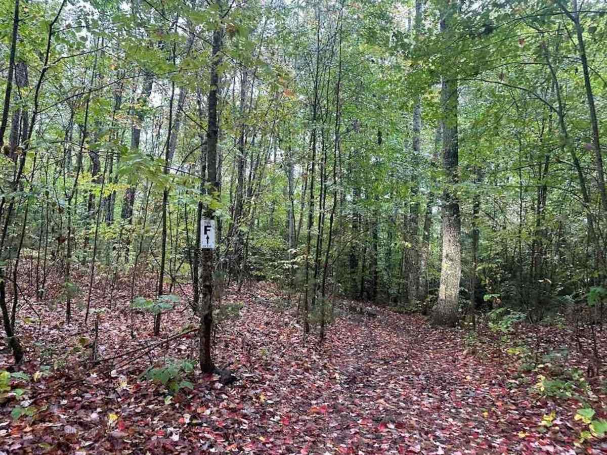 F/57 Blue trail photo