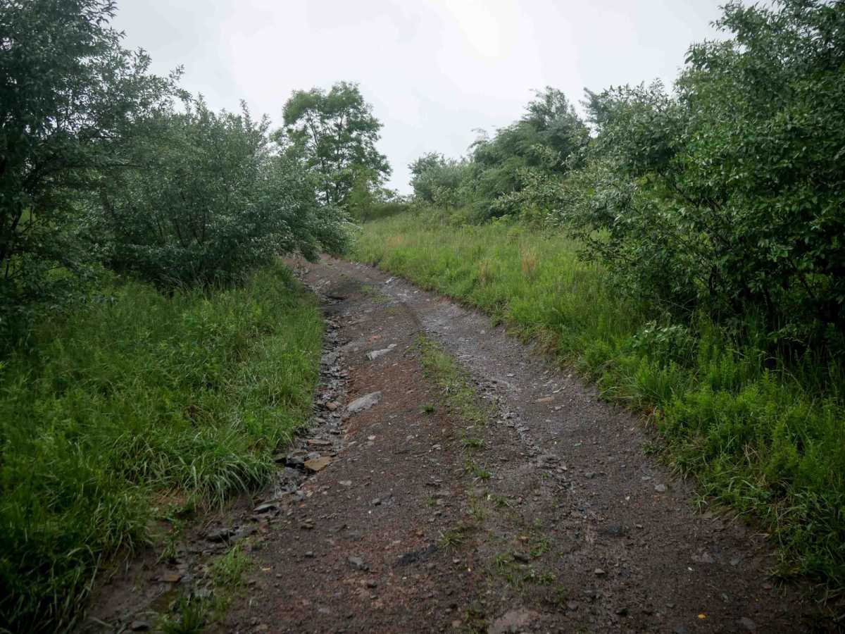 CC19 trail photo