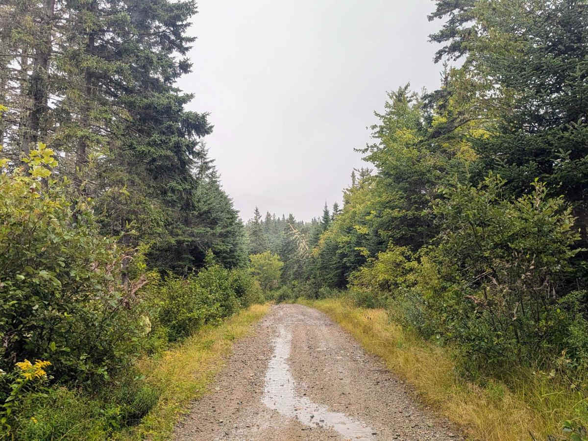Strathglass Road trail photo