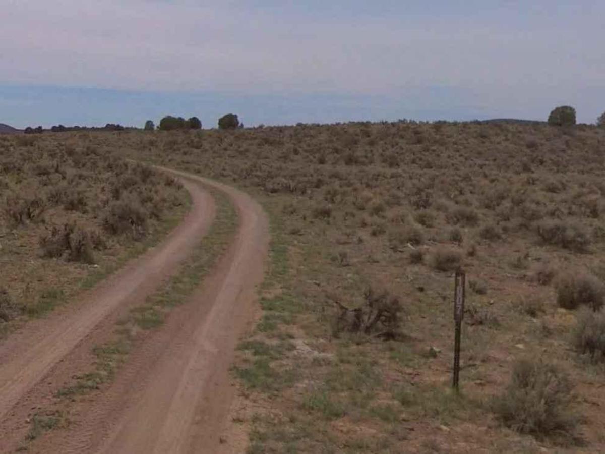 Dixie National Forest-FR31007 photo 3