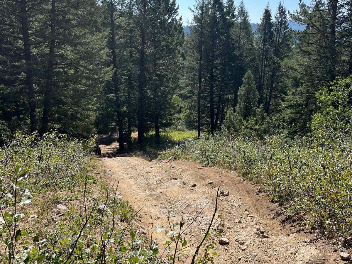 Inman Canyon-Big Springs photo 6
