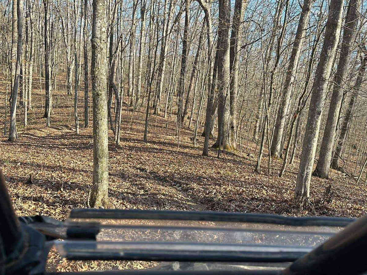 Mud Holler trail photo