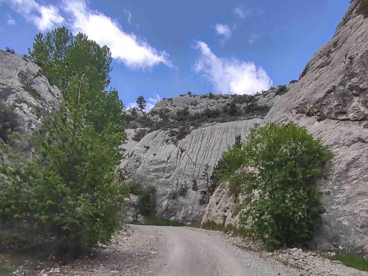Indian Creek Road photo 4