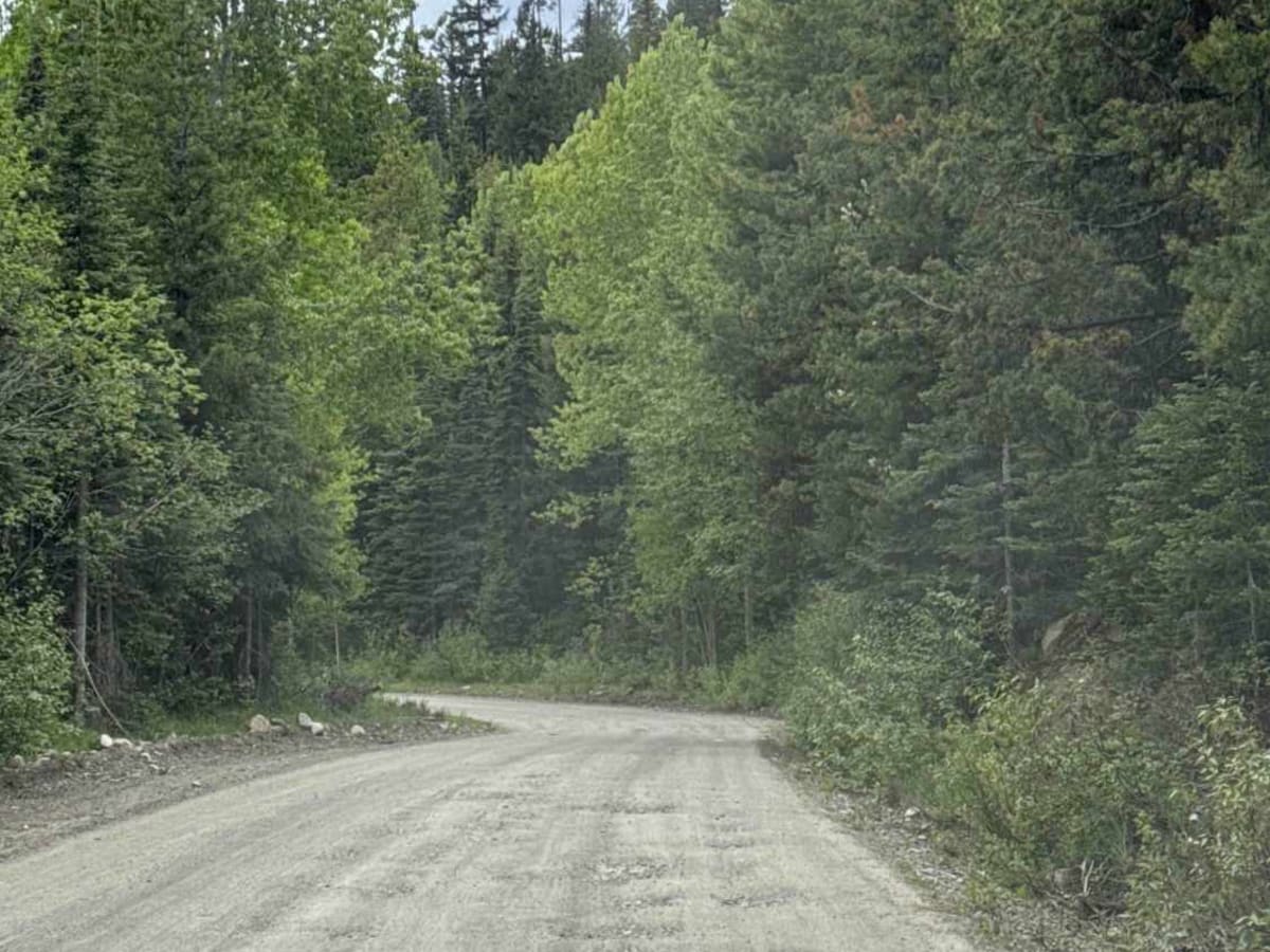 Jackpine Forest Service Road photo 2