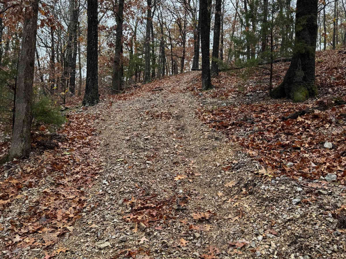 Yellow 99 trail photo