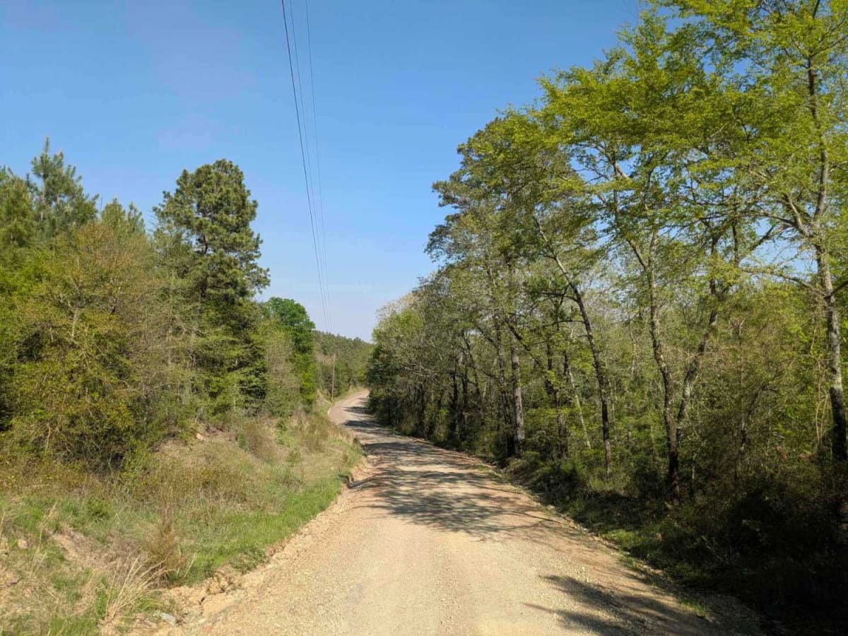 Route 4 photo 4