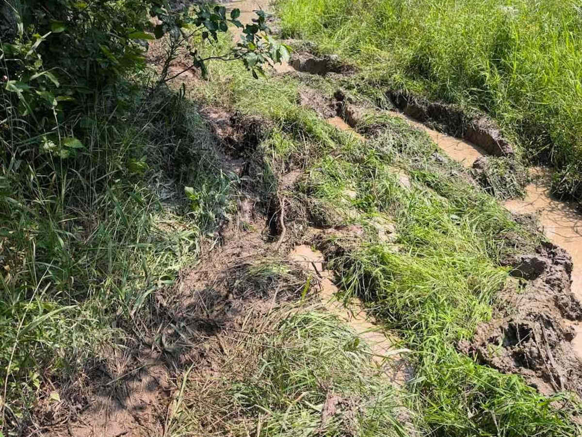 The Poutinery trail photo