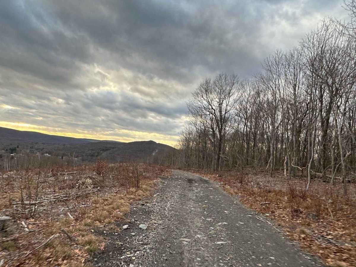 Ashland 184 photo 2