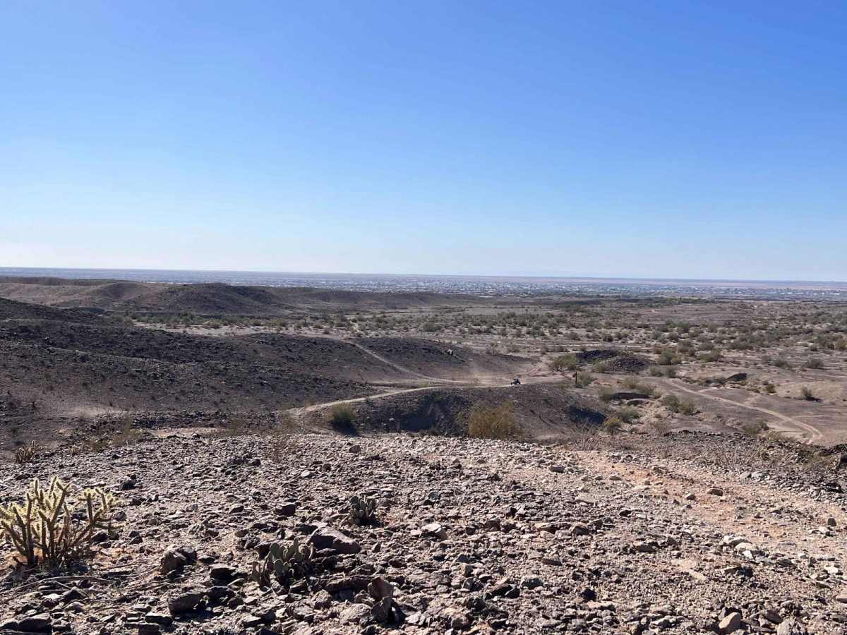 The Saguaro that Watches Over Yuma photo 3