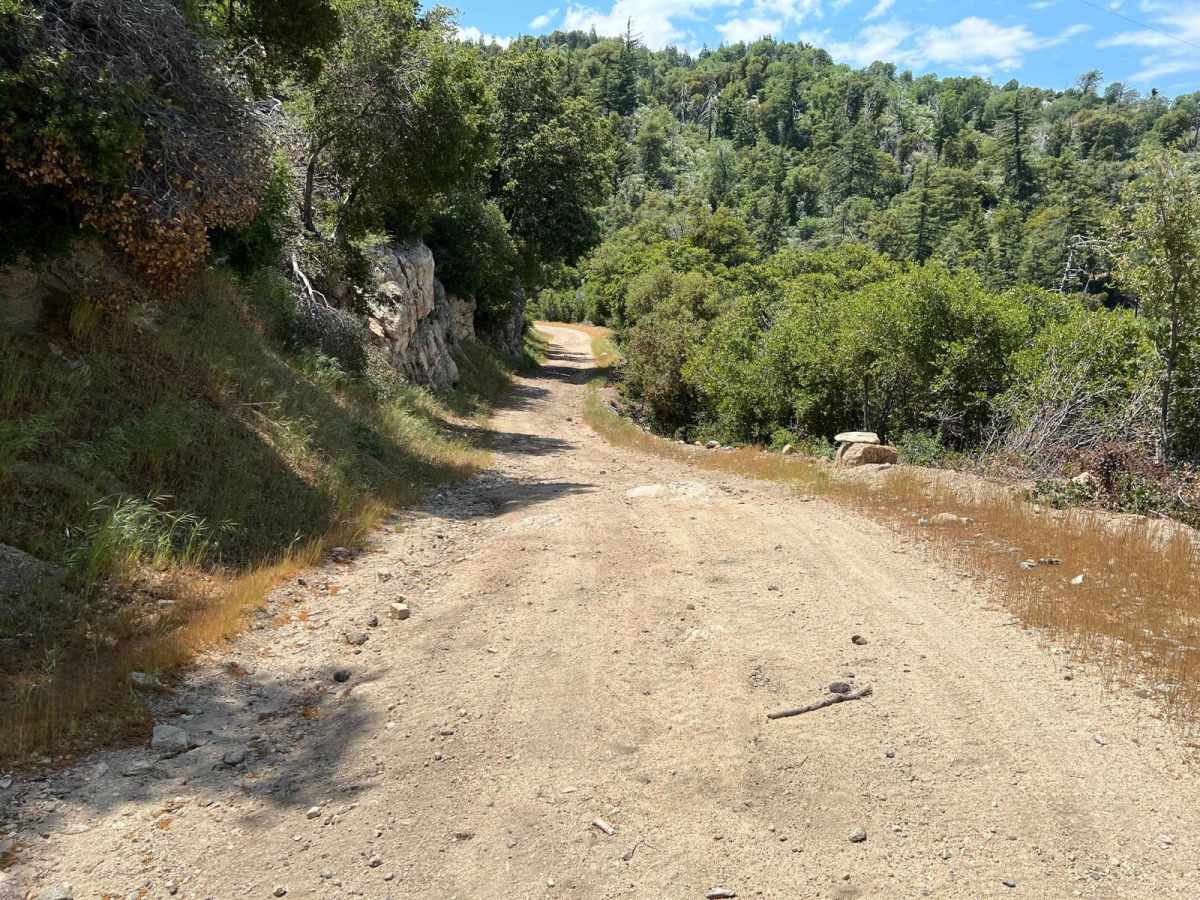 Sawpit Connector photo 3