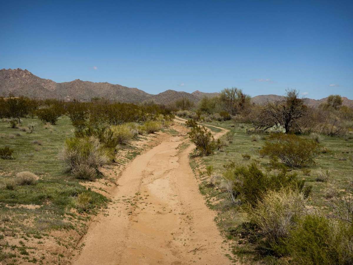Lower Loop Trail photo 2