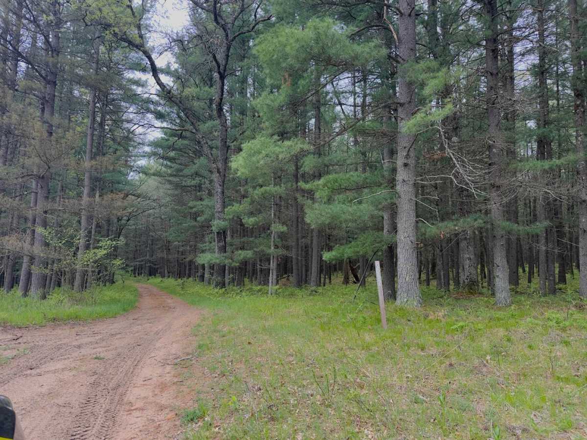 FS 8552 trail photo