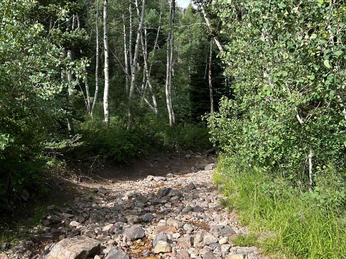 Mineral Basin Trail photo 3