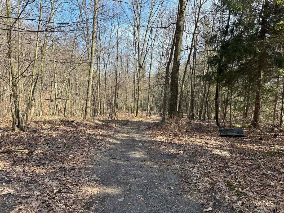 Ashland 104 trail photo