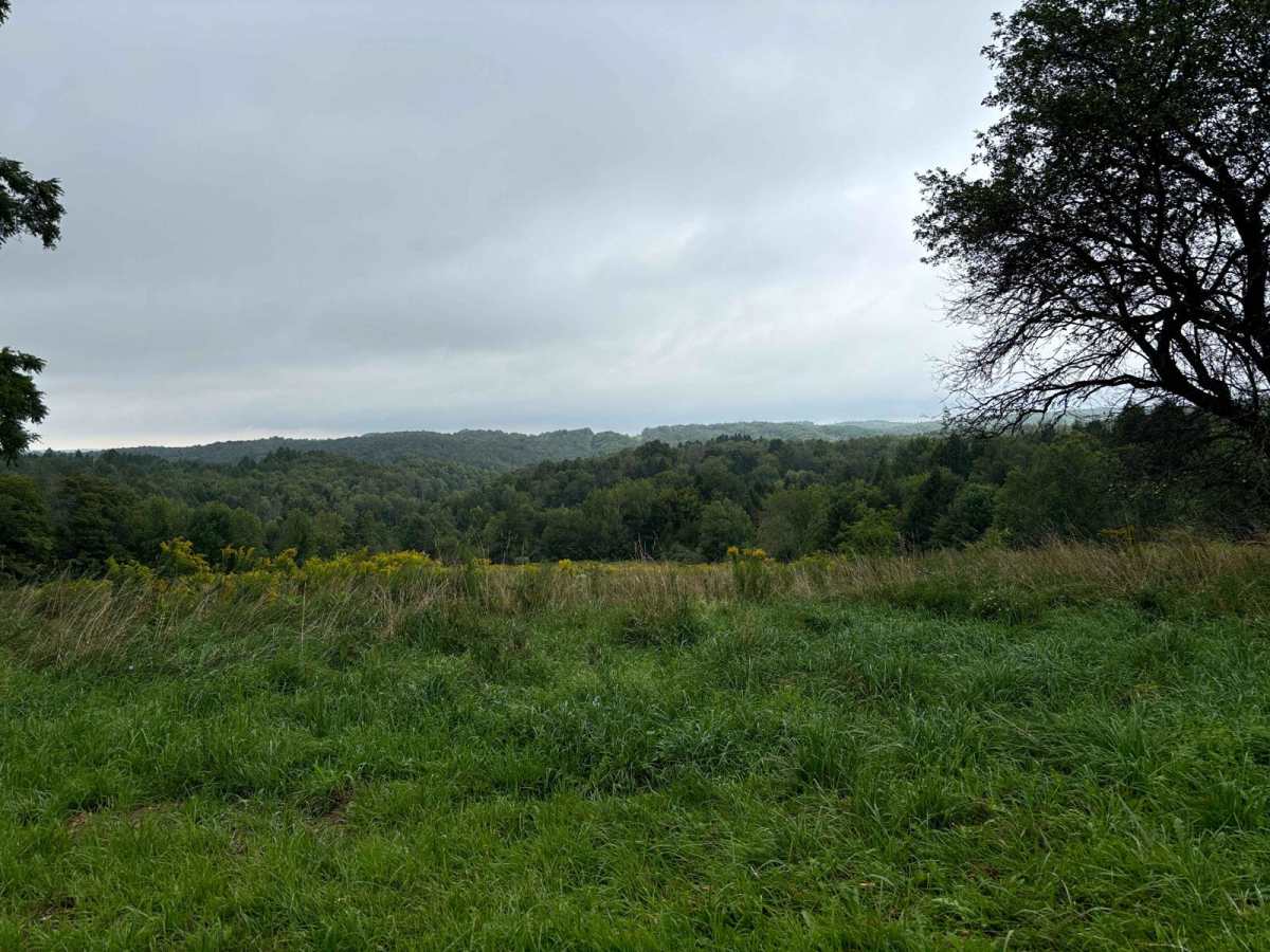 Tioughnioga Wildlife Management Area photo 6
