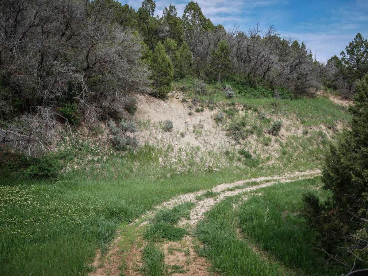 Knoll Hollow ATV Trail photo 3