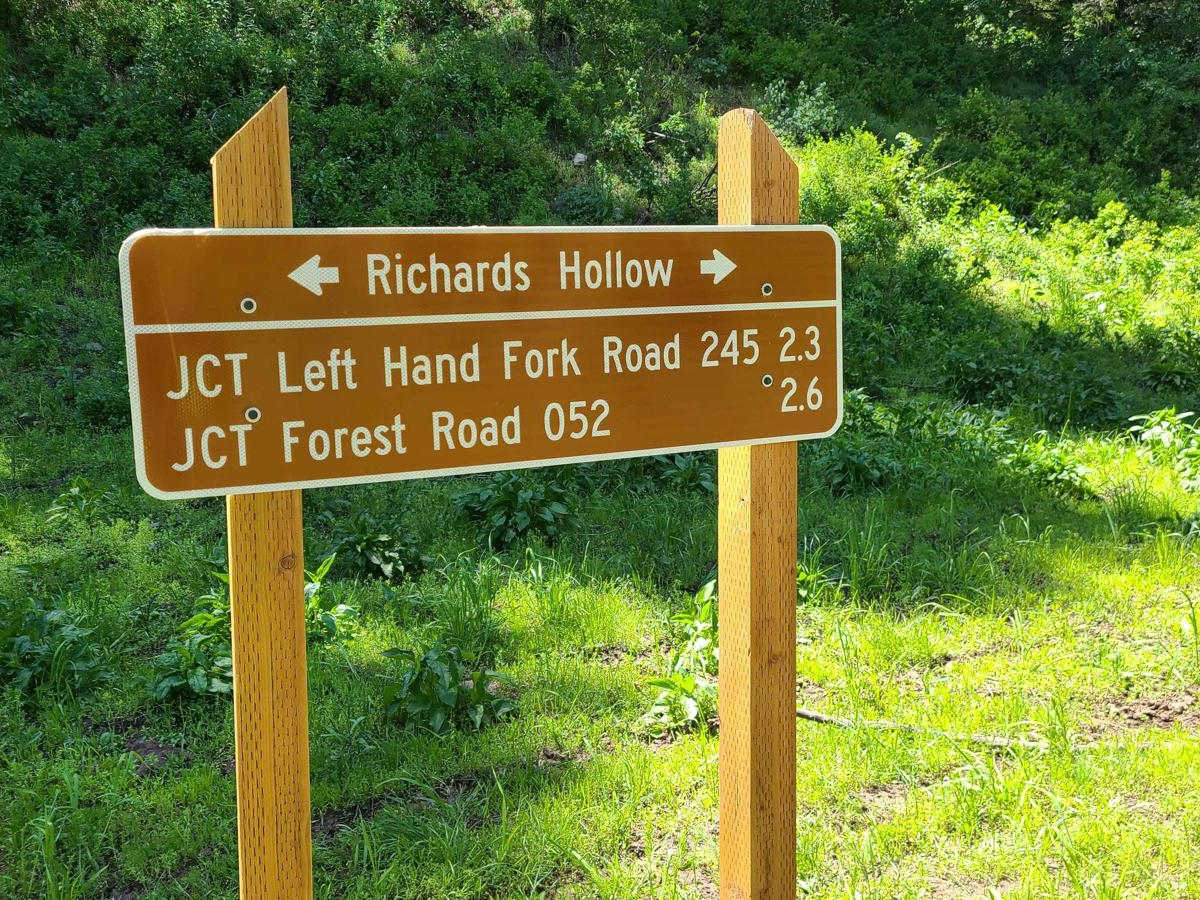 Richard's Hollow photo 4