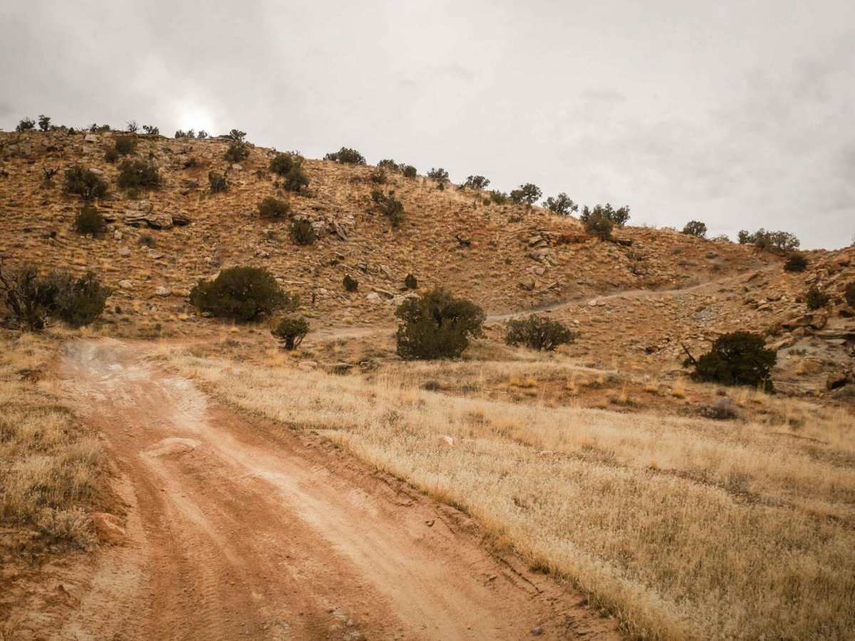 Trail 4 photo 5