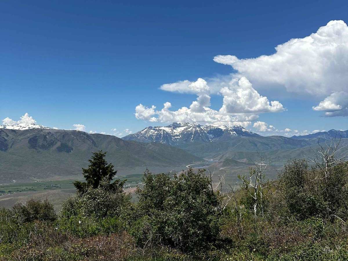 Wallsburg Ridge Trail trail photo