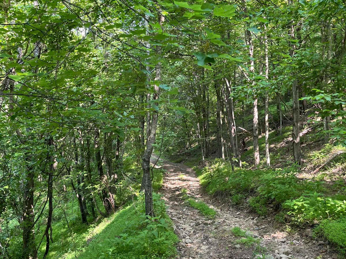 Trail 6 photo 2