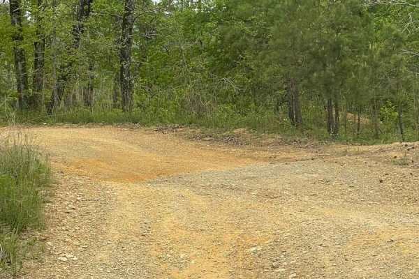 Hickory Nut Trail