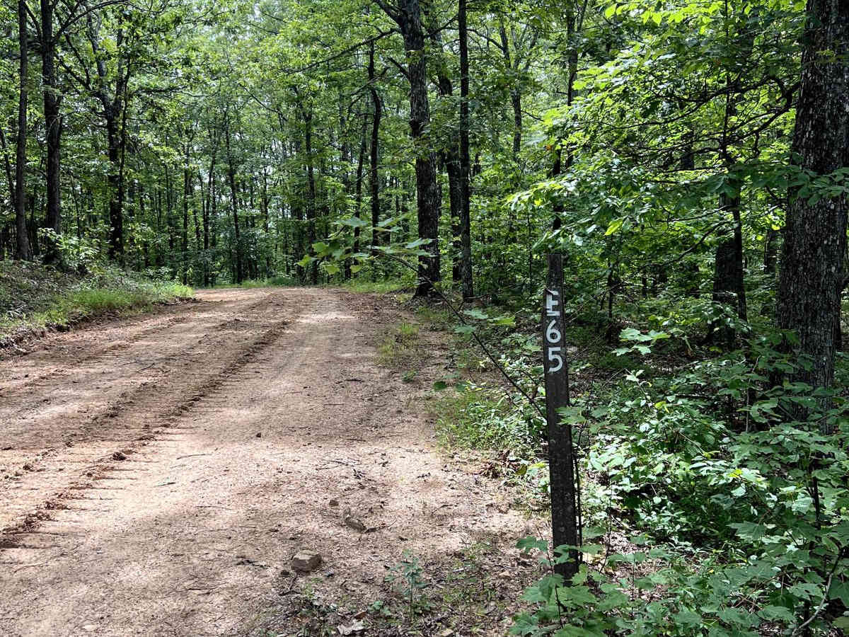 Walnut Ridge Connector photo 3